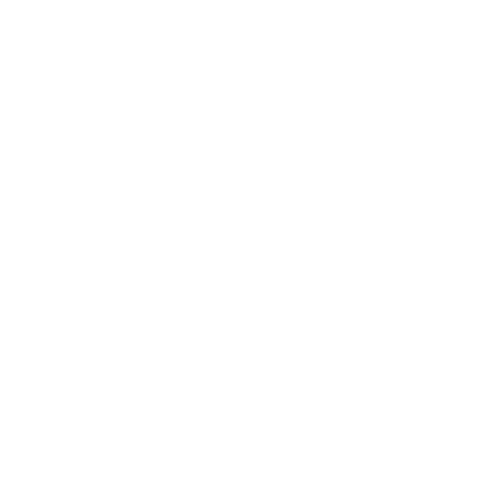OLIVIA LOGO NEU (22)